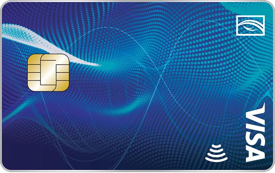 Visa Flexi Credit Card image