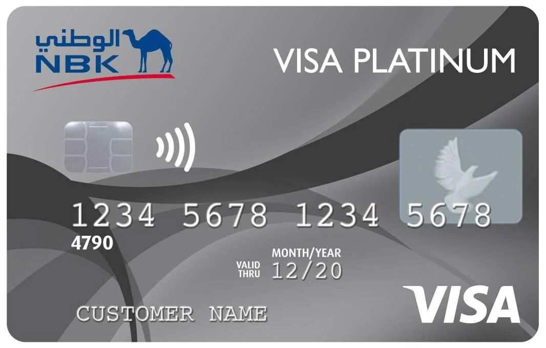 Visa Platinum Credit Card image