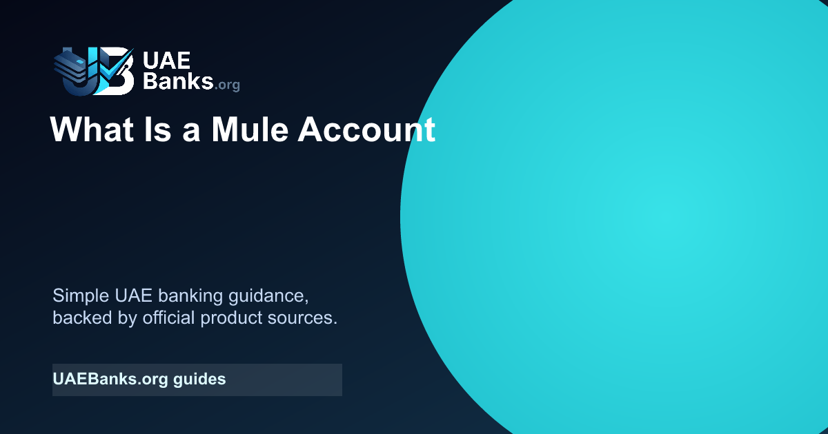 What Is a Mule Account? guide thumbnail